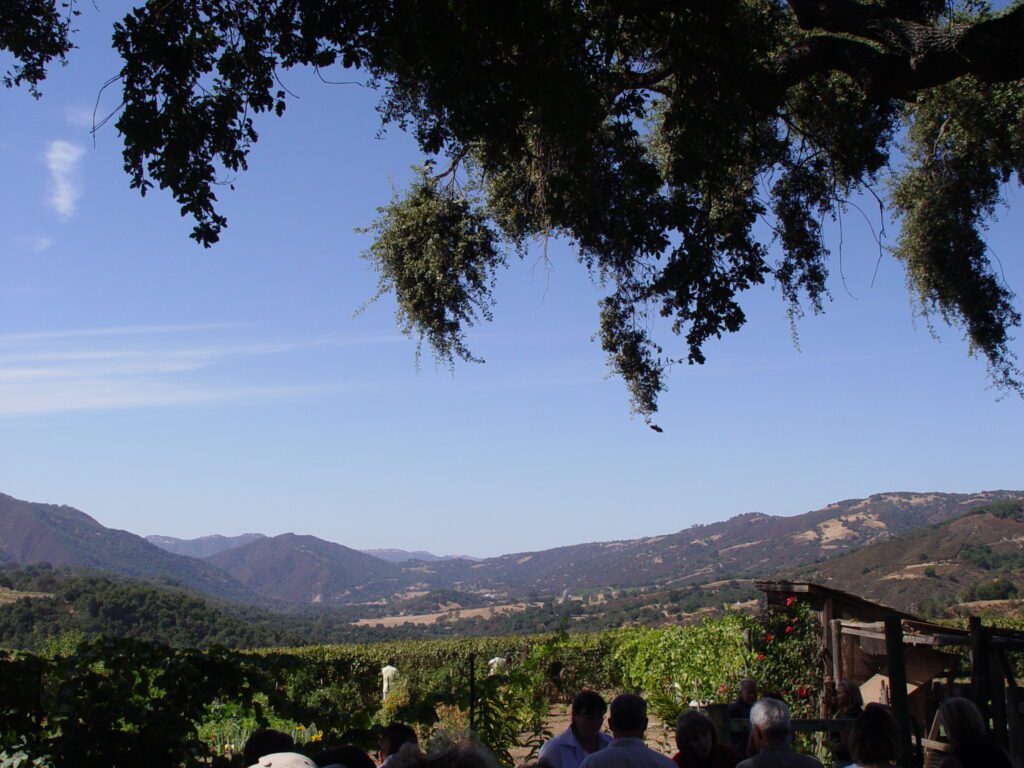 View of Joullian vineyards in Carmel Valley