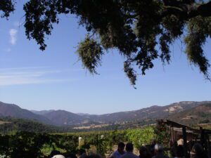 View of Joullian vineyards in Carmel Valley