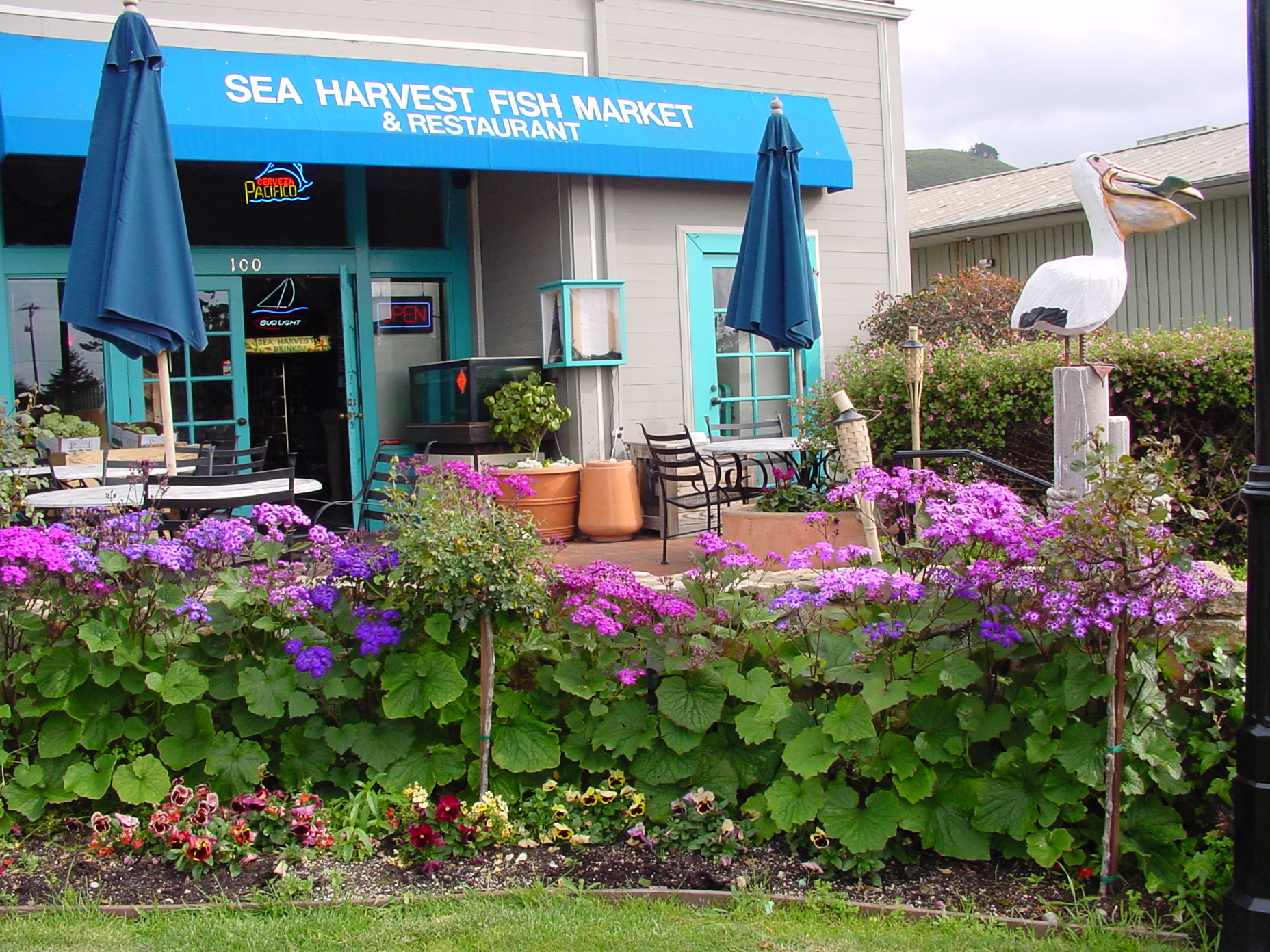 exterior of Sea harvest fish market