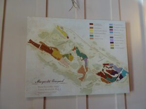 vineyard map